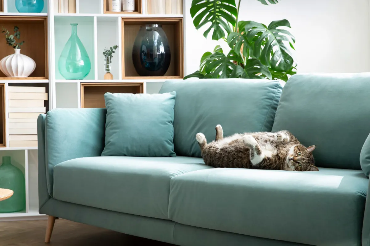 Miliboo Design-Sofa VOGUE drei Sitze aus hellgrauem Samt* Design-sofas